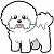 bichon frise puppy